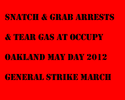 link - snatch and grab arrests